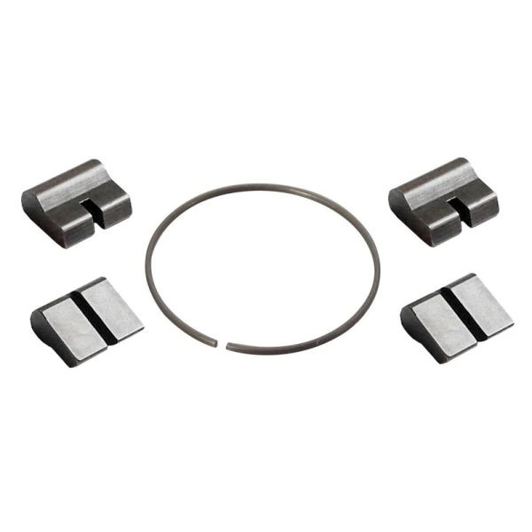 Set 4 Clicheti + 1 Arc NOVATEC - B2/D2-type 4-pawls