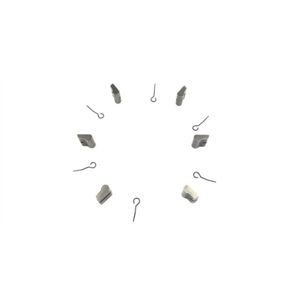 Set FHB PARTS-Spring-6pc + Pawls-6pcs ( B2 6-pawls) NOVATEC